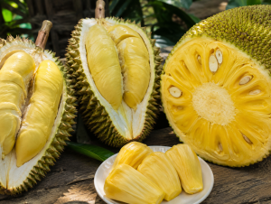 Jackfruit vs. Durian