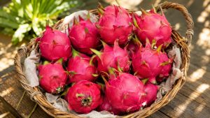 Dragon Fruit