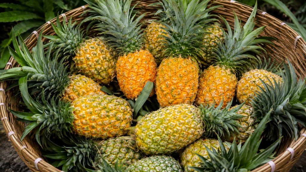 Pineapple
