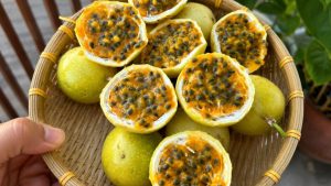 Passion Fruit