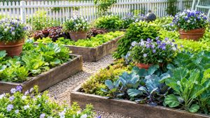 Gardening for Beginners