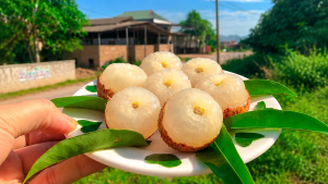 Lychee Nutrition
