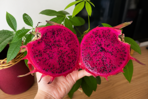 Dragon fruit (4)