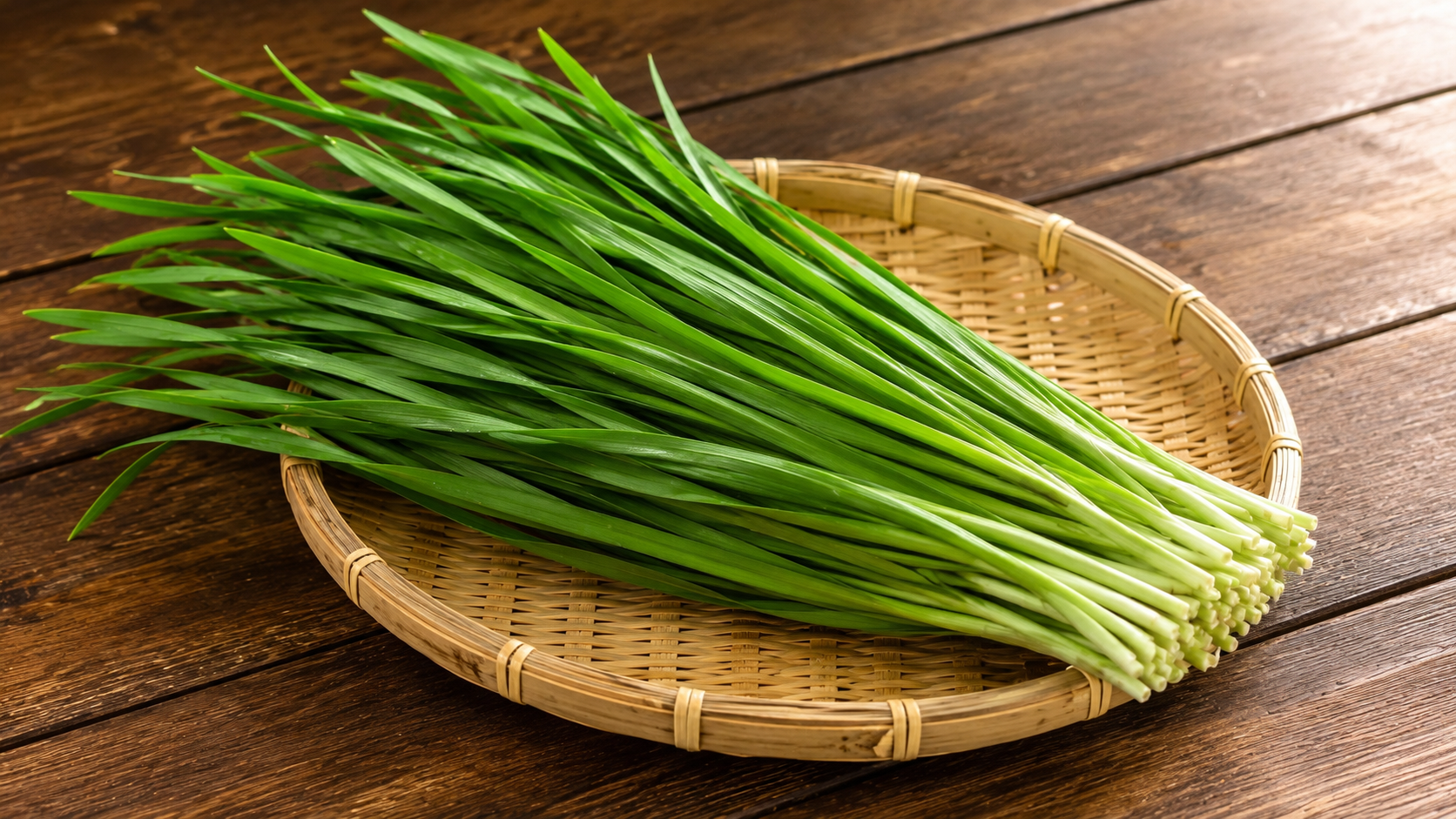 Chives (1)