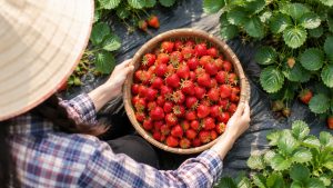 Strawberry
