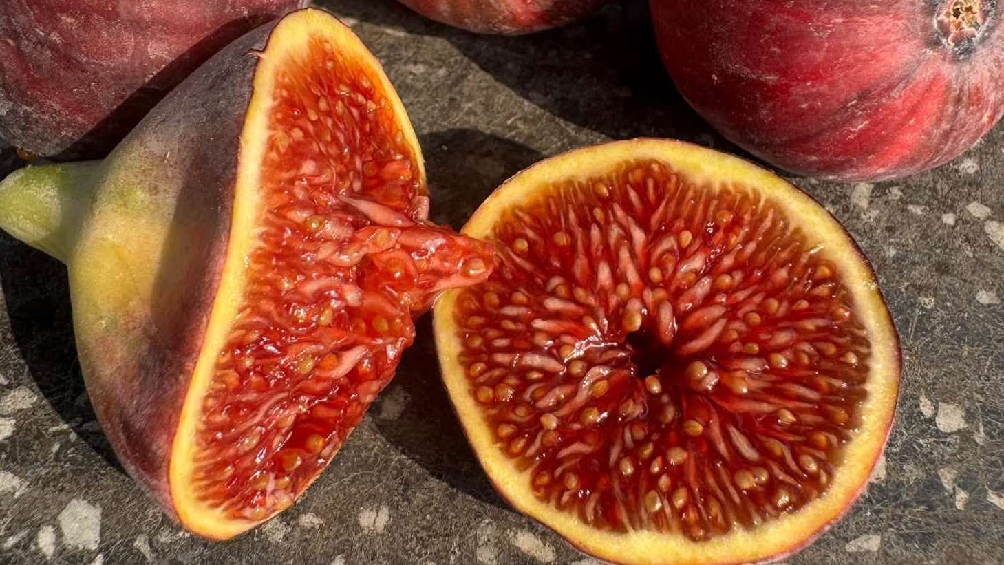 Fig