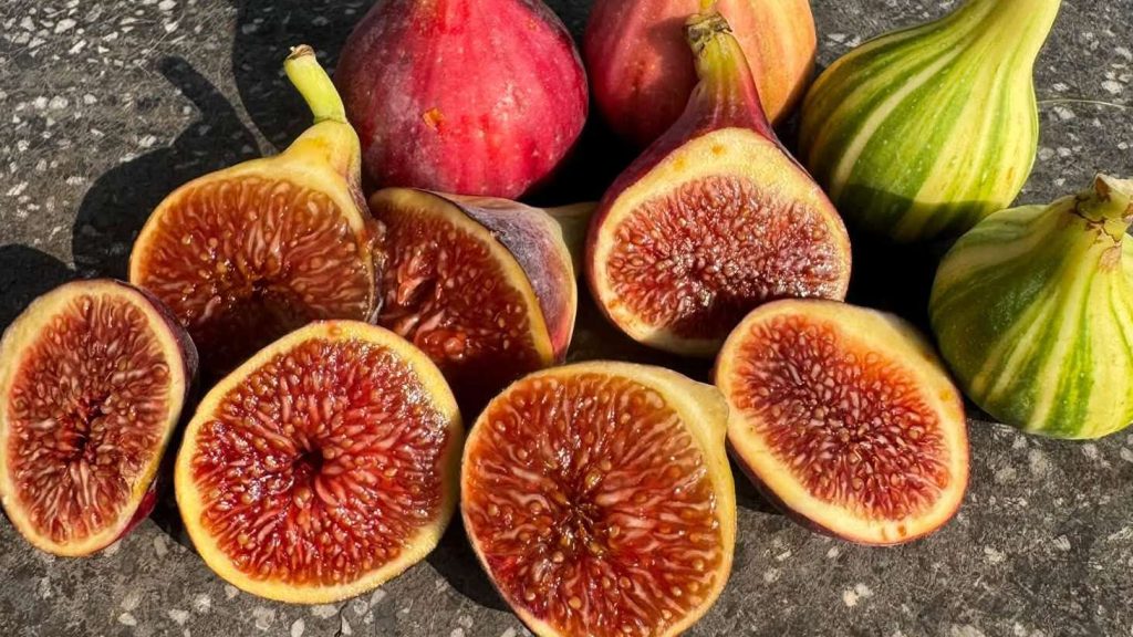 Figs