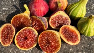 Figs