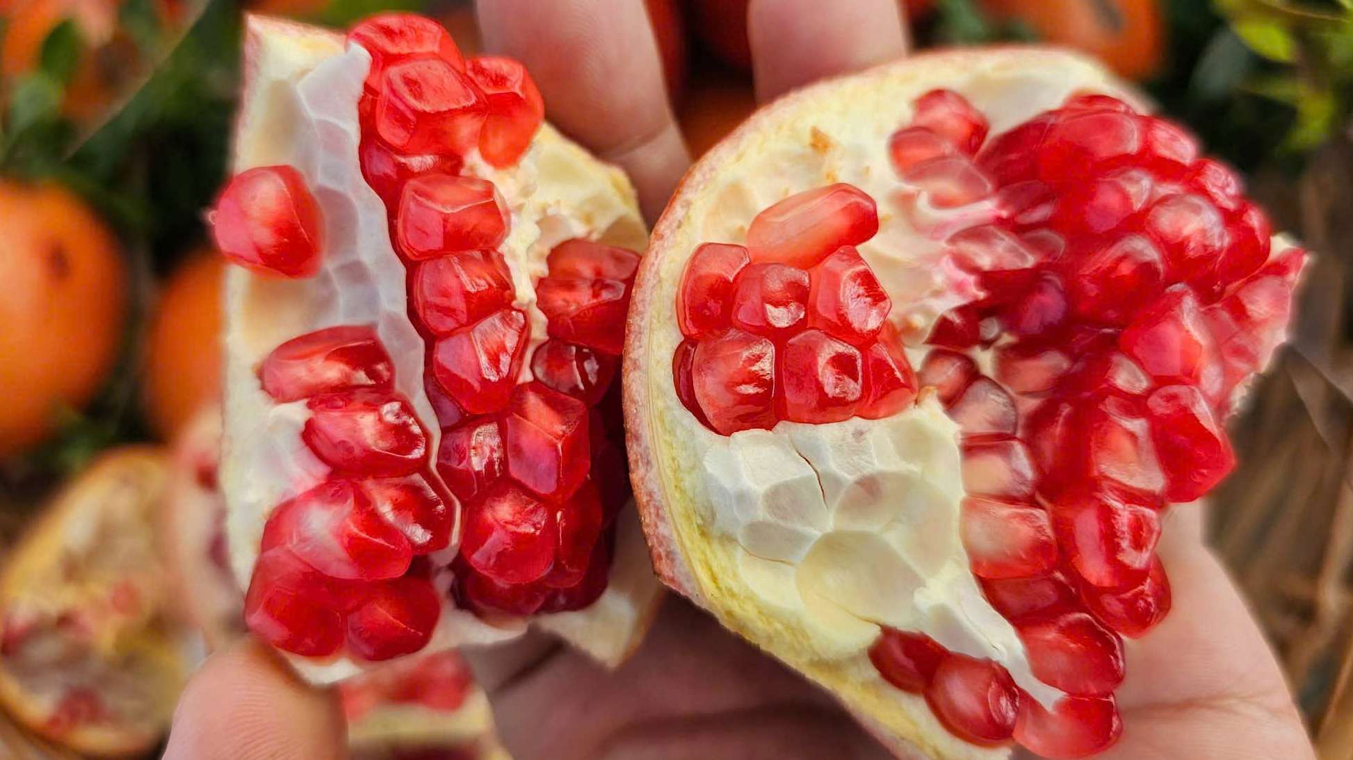 Image showing how to eat a pomegranate