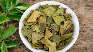 Soursop leaves