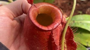 Choosing a Growing Area