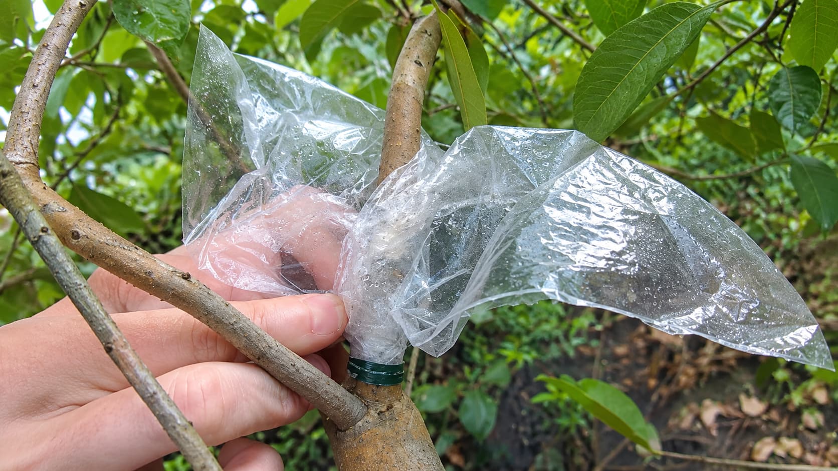Wrap the Air Layer