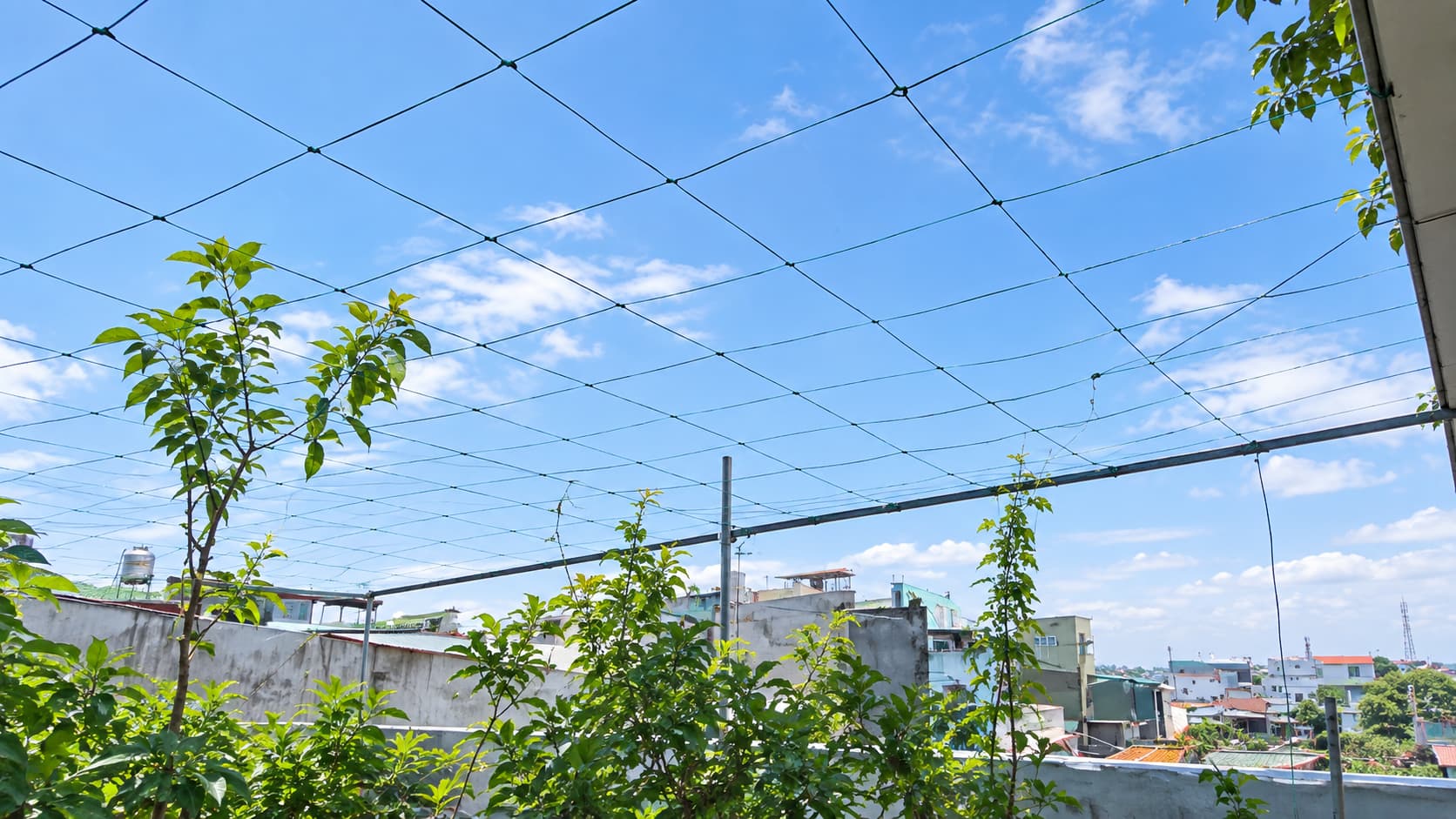 How to Build the Trellis