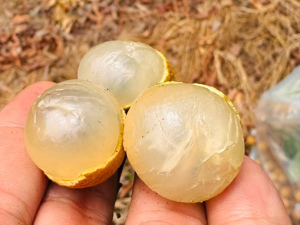 How to Make Dried Longan and Sweet Soups at Home