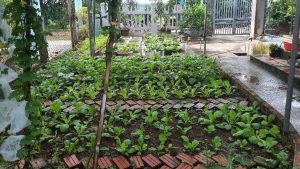 Image of a vegetable garden with flowers interplanted among the vegetable beds