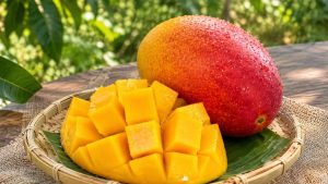 Miyazaki Mango (4)