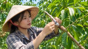 How to Incorporate Longan into Your Daily Diet